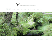 Tablet Screenshot of elknwillow.com